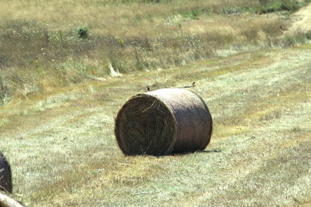 Hay Bales in Mountain Farm, Landscape, Beautiful Nature