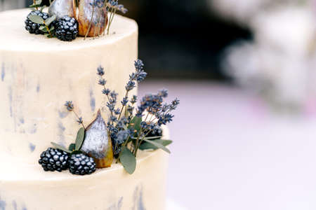 wedding cake lavender two floors with lavender figs and blackberries decorated with rhinestones the background of weddingの写真素材