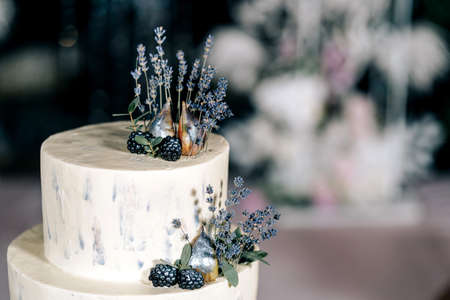 wedding cake lavender two floors with lavender figs and blackberries decorated with rhinestones on the background wedding decorの写真素材