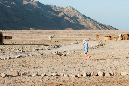 A boy tourist walks through a Bedouin village with sprigs of reeds in his hands. Self-made purple cape from the sun and a spacious blue hoodie. In the background is a camel and mountains.の写真素材