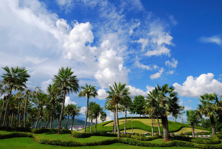 Beauty landscape in Royal Park Ratchaphruek. Chiangmai, Thailandの写真素材