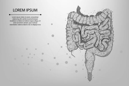 Abstract meah line and point polygonal intestines. Scanning, research and diagnosis of the human intestines. Low poly wireframe vector illustrationのイラスト素材