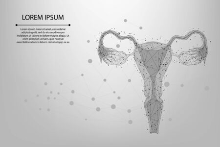 Abstract mesh line and point Ovaries. Low poly female reproductive organs uterus and ovaries health care. Polygonal vector illustrationのイラスト素材