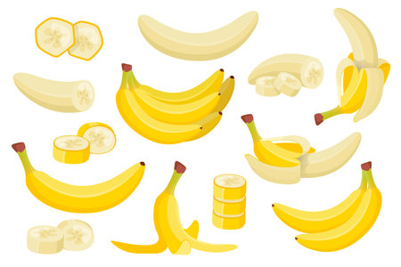 Various banana flat set. Exotic natural fruits collection. Vector cartoon illustrationのイラスト素材