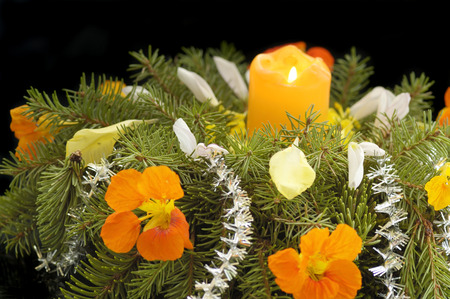 Chrismas composition with flower, gold ribbon, ball and branches of firtree isolated on whiteの写真素材