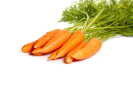bunch of fresh carrot isolated  on whiteの写真素材
