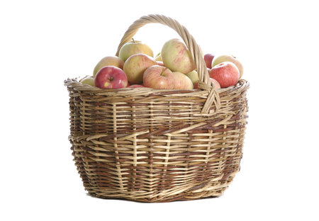 big harvest of apples in woven basket isolated on white backgroundの写真素材