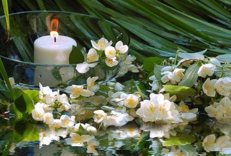green summer spa の写真素材