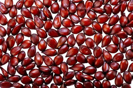  background of Japanese quince seeds close upの写真素材