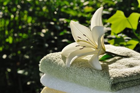backloghting with sun white lily on stack of towels against green summer backgroundの写真素材