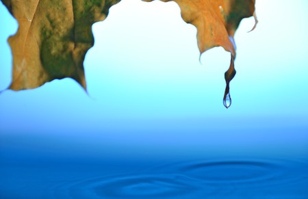  falling drops from tip of green leaf into blue rippled waterの写真素材