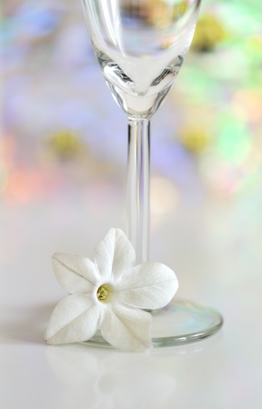 glass with white flower on colorful glow backgroundの写真素材