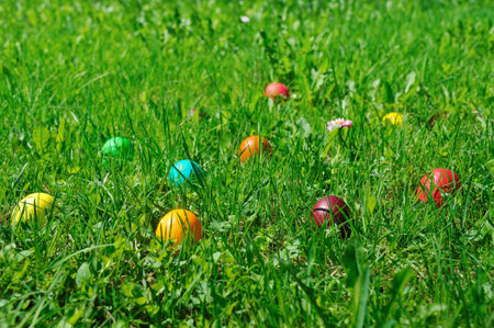 Colorful easter eggs in field of green grass 