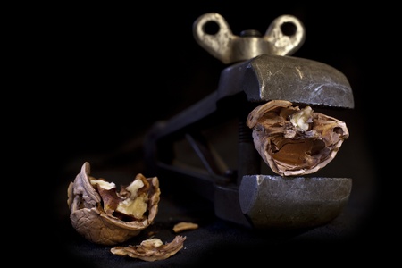 cracked walnut in vice over black backgroundの写真素材