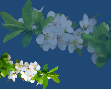 Sakura Blooming, Cherry Blossom, Cherry Blossom, Cherry Blossom, Cherry Blossomのイラスト素材