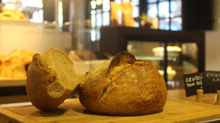 bread on the kitchen counter