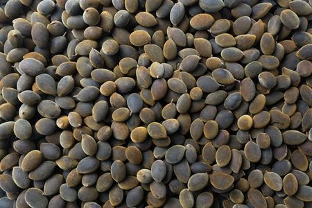 Trai Xay Nui - Fresh organic berry Vietnamese bush patterned backgroundの写真素材