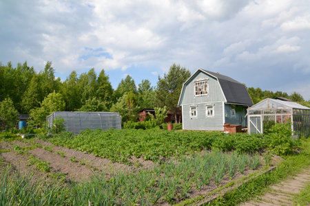 Kitchen garden, lodge and greenhouses on a country sectionのeditorial素材