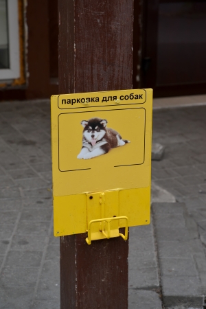 Parking for dogsの写真素材