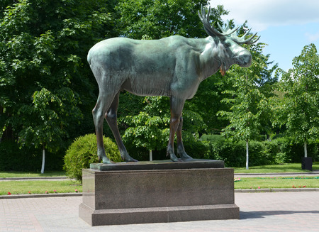 An elk sculpture in the square in Gusevの写真素材