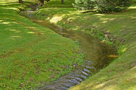 The stream proceeds through park. Summer landscapeのeditorial素材