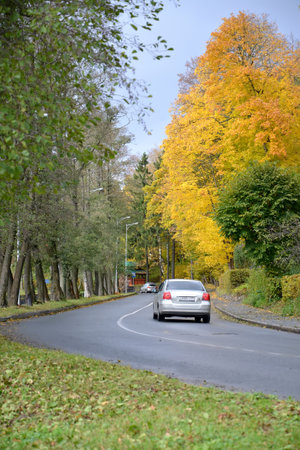 SVETLOGORSK, RUSSIA - OCTOBER 26, 2016: Cars go on the route. Fallのeditorial素材