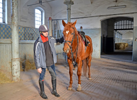 KENTShIN, POLAND - JANUARY 04, 2014: The jockey with a horse of trakenensky breed costs in the stableのeditorial素材