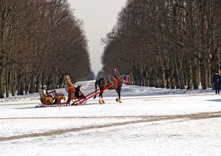 PAVLOVSK, RUSSIA - MARCH 27, 2013: Driving of children in sledge on the avenue of the winter parkのeditorial素材
