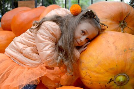 A five-year-old girl lies on orange pumpkin. Autumn Harvestの写真素材