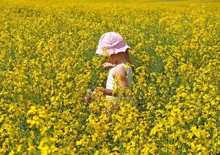 Little girl in rapeseed fieldの写真素材
