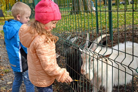 KALININGRAD, RUSSIA - OCTOBER 13, 2019: The artist is engaged in drawing with children on colored paper. Outdoor Children's Workshopのeditorial素材