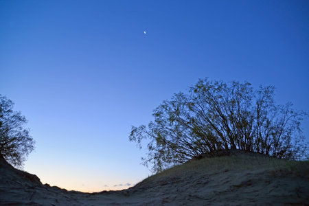 Dawn on the curonian spit