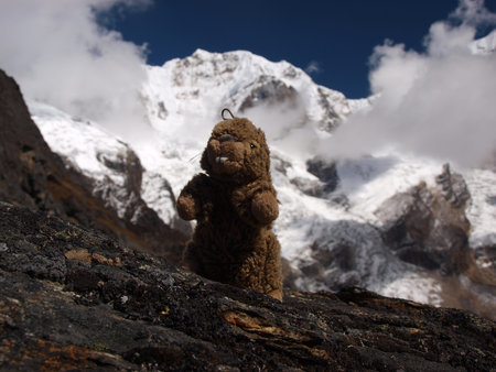 marmot and the Himalayasの写真素材