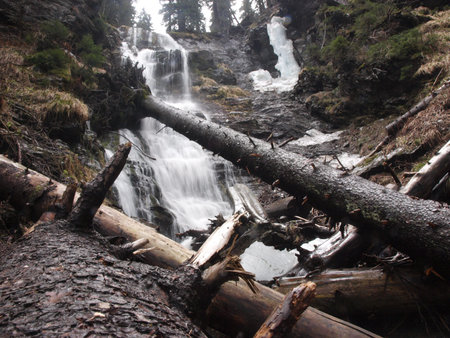 Waterfall and fallen trees in the forest