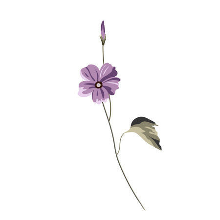 Purple flower isolated on white background. Vector illustration for your designのイラスト素材