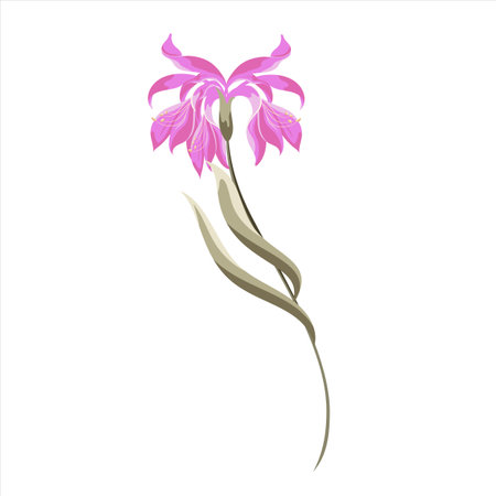 Pink flower isolated on white background. Vector illustration for your design.のイラスト素材