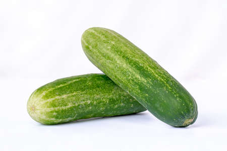 Two cucumbers for fresh vegetables, isolated on a white background, copy spaceの写真素材