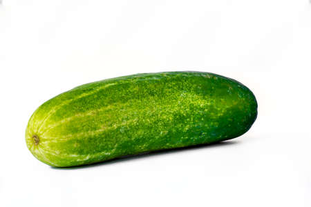 One cucumber for fresh vegetables, isolated on a white background, copy spaceの写真素材