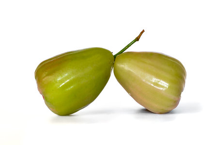 Two ripe and ready-to-eat rose apples, known as Jambu Madu Deli, has green  colour and has a very sweet taste. This species comes from Deli Indonesia.の写真素材