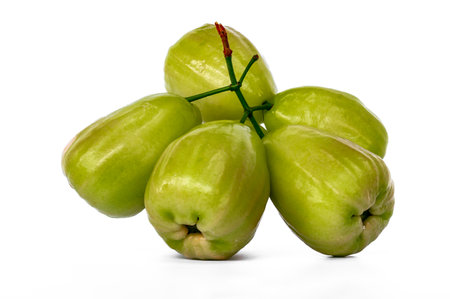 One ripe rose apple stalk and ready-to-eat, known as Jambu Madu Deli, has green colour and has a very sweet taste. This species comes from Deli Indonesia.の写真素材