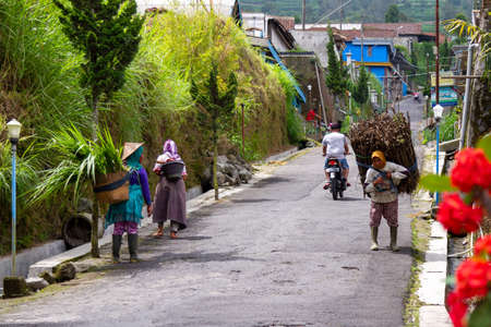 Local residents in the area of Mount Merapi carry out their usual activities, following the increase in the activity of the Merapi volcano. BOYOLALI CENTRAL JAVA, INDONESIA - NOVEMBER 7, 2021.のeditorial素材