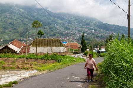 Hiking activities in the Mount Merapi hiking trail area, after the start of reducing activity restrictions due to the COVID-19 pandemic. Selo, Merapi Mount.のeditorial素材