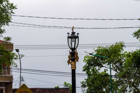 Street lighting with beautiful shape, background of intricate cable trajectory, concept of spatial planning and transportationの写真素材