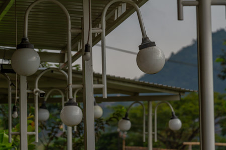 Pendant lamp accessories from local materials for interior decoration, utilizing plants and reducing plasticの写真素材