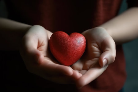 A pair of hands holding a heart shape, Heart in the hands, donate your heart, Love giftの素材