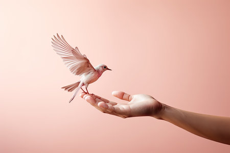 Open Hand Releasing Freedom Bird, Care and peace conceptの素材