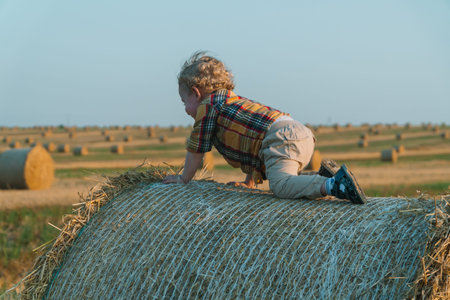 The fair-haired littleboy sits on top of a straw bale on a wheat fieldの写真素材