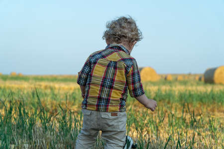 Little boy playing on a wheat field with balesの写真素材