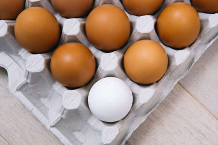 Brown raw chicken eggs and alone white egg in a tray side viewの写真素材