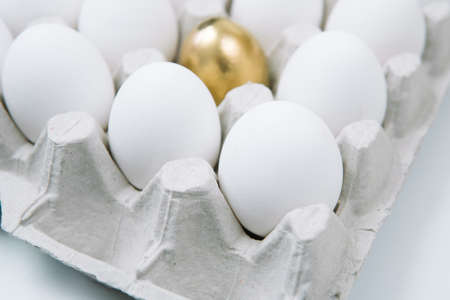 White raw chicken eggs and alone golden egg in a tray side viewの写真素材